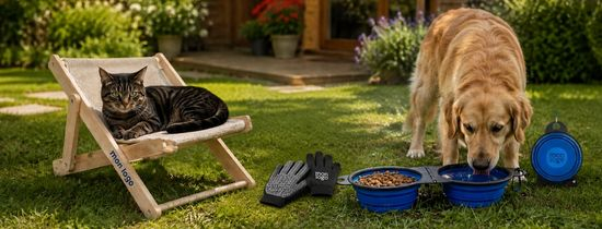 Autres Accessoires Personnalisés Pour Animaux