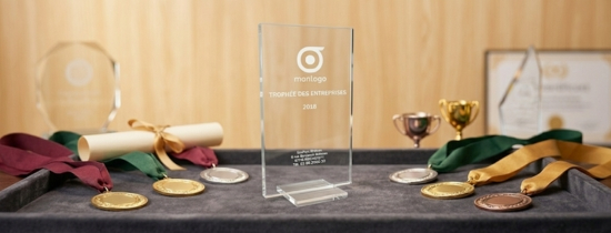 Trophée En Verre Personnalisé Publicitaire avec Logo | Cadeau Entreprise