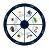 DISQUE PEDAGOGIQUE PERSONNALISABLE 'DISCO FULL'