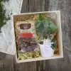 COFFRET DE PLANTE ET DE GOURMANDISE PERSONNALISABLE 'CAREX'