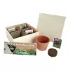 COFFRET AROMATIQUE PERSONNALISABLE EN BOIS 'AROMATUS'
