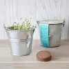 KIT PLANTATION POT ZINC MIF PUBLICITAIRE 8ø 'PLANTOU'