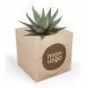 CUBE EN BOIS PERSONNALISABLE AVEC PLANTE OU ARBRE 'HARWOR'
