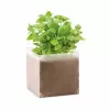 KIT PLANTATION PUBLICITAIRE SACHET PAPIER BLANC 'MUNDA QUADRI' 