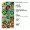 KIT DE PLANTATION PUBLICITAIRE 'POPPY QUADRI'