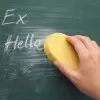 EPONGE SPONTEX PERSONNALISABLE 'OVAL'