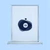 TROPHEE EN VERRE PERSONNALISE 'VICKY QUADRI RECTANGLE'
