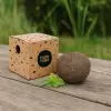 BOMBE A GRAINES PERSONNALISABLE 'BLOMA QUADRI'