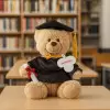 PELUCHE GRADUATION PERSONNALISABLE 'ARMAND'