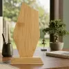 TROPHEE PUBLICITAIRE BAMBOU 'FAUSTINO FLAMME'