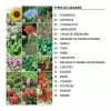 KIT DE PLANTATION PERSONNALISABLE 'POPPY QUADRI TRIO'