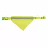 COLLIER VISIBILITE ANIMAUX PERSONNALISABLE 'DOGGY'