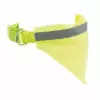 COLLIER VISIBILITE ANIMAUX PERSONNALISABLE 'DOGGY'