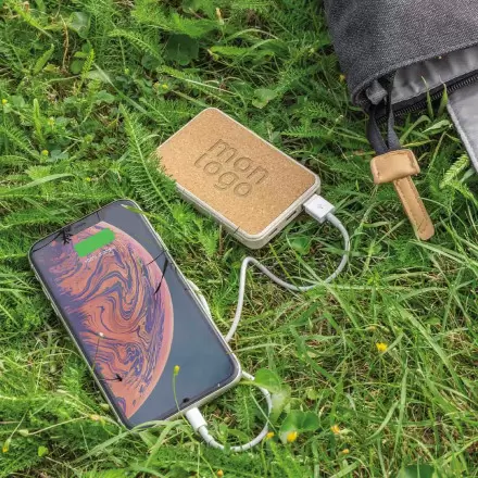 BATTERIE EXTERNE PERSONNALISABLE 'KRITI'