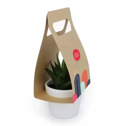 PLANTE DEPOLLUANTE POT CERAMIQUE PUBLICITAIRE 'SAIRA'