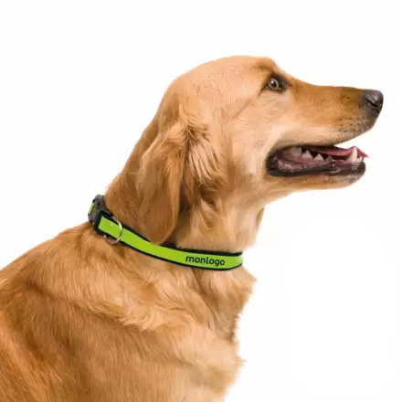 COLLIER PERSONNALISABLE POUR ANIMAUX 'FRIZON'