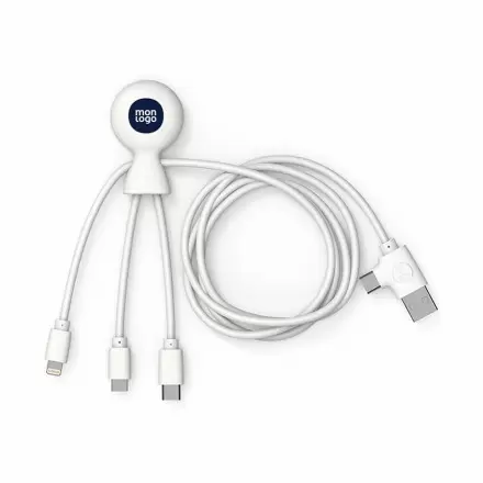 CÂBLE DE CHARGE PUBLICITAIRE MR BIO LONG NFC