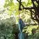 PARAPLUIE PUBLICITAIRE AUTOMATIQUE CANNE BOIS 'DUNDEE'