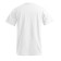 TEE SHIRT BLANC PUBLICITAIRE HOMME PROMODORO® 'NAVE' 180 GR/M²