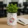 KIT DE GRAINES PERSONNALISABLE 'SERENITE'