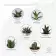 PLANTE DEPOLLUANTE POT CERAMIQUE PUBLICITAIRE 'SAIRA'