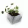 KIT POCKET COCO PERSONNALISABLE 'CLOLU'