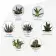 CUBE EN BOIS PERSONNALISABLE AVEC PLANTE OU ARBRE 'HARWOR'