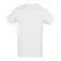 TEE SHIRT PUBLICITAIRE HOMME 'REGENT' EXPÉDITION EXPRESS 72H