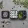LUNCH BOX PERSONNALISABLE MB SQUARE MONBENTO® 'BLOUC'
