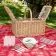 PANIER PIQUE NIQUE POUR 4 PERSONNES 'VIVI+'