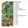 SACHET DE GRAINES PERSONNALISABLE EN QUADRI  'PLANTAI XS'