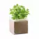 KIT PLANTATION PUBLICITAIRE SACHET PAPIER BLANC 'MUNDA QUADRI' 