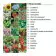 KIT DE PLANTATION PUBLICITAIRE PAPIER BLANC 'TERRI' 