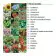 KIT DE PLANTATION PUBLICITAIRE 'POPPY QUADRI'