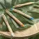STYLO EN BAMBOU PUBLICITAIRE 'RIOWOOD' RAPIDE 4J