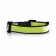COLLIER PERSONNALISABLE POUR ANIMAUX 'FRIZON'