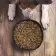 BOL PERSONNALISABLE POUR ANIMAUX 'ACHILLE'