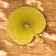 EVENTAIL PLIABLE PERSONNALISABLE 'BREEZE COUL'