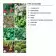 PAPIER ENSEMENCE MIE PERSONNALISABLE 'HORTUS' A4
