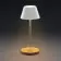 LAMPE RECHARGEABLE PUBLICITAIRE 'LUMINOTE'
