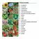 KIT DE PLANTATION PERSONNALISABLE 'POPPY QUADRI TRIO'