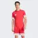 MAILLOT DE SPORT ADIDAS 'SQUADRA 25'
