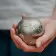 TRIPLETTE DE PETANQUE PERSONNALISABLE 'METAHK'