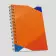 AGENDA PERSONNALISABLE QUINZAINIER A SPIRALES 'CANVA'