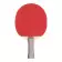 SET DE PING PONG PERSONNALISABLE 'GAUT'