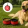 DUO DE GAMELLES PLIABLES PERSONNALISEES 'EDGAR'