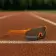 LUNETTES DE SPORT PERSONNALISABLE 'FASTY COLOR'