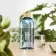 BOUTEILLE RPET 500 ML PERSONNALISABLE 'DRIBOO' 