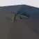 PARASOL TELESCOPIQUE PERSONNALISABLE 'SENTIDO ROND'