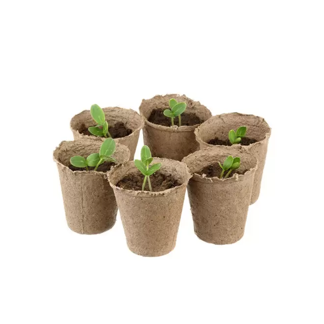 SACHET DE GRAINES PERSONNALISABLE 'SEEDY'